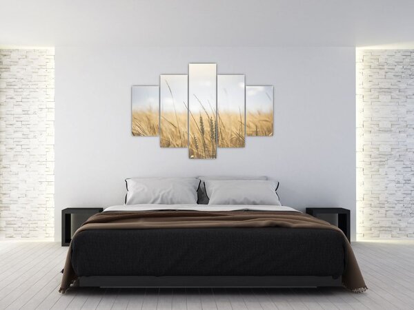 A gabona képe (150x105 cm)
