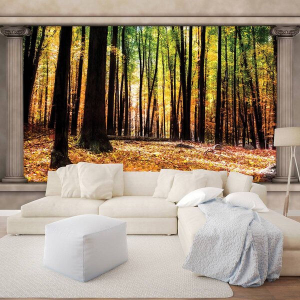 Fotótapéta - Őszi erdő (152,5x104 cm)