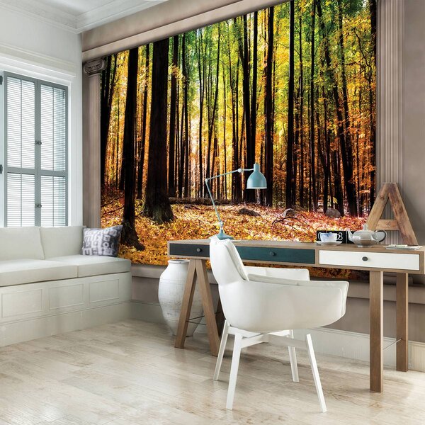 Fotótapéta - Őszi erdő (152,5x104 cm)