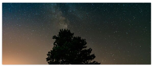 Egy éjszakai égbolt fákkal képe (120x50 cm)
