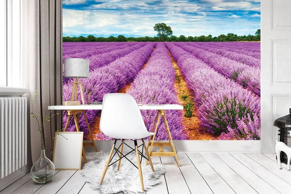 Fotótapéta - Levendula mezők (152,5x104 cm)