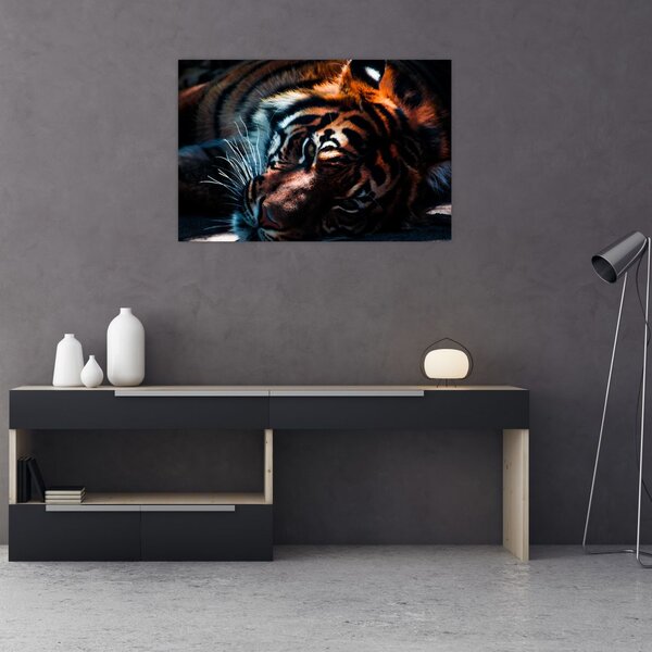 Egy fekvő tigris képe (90x60 cm)