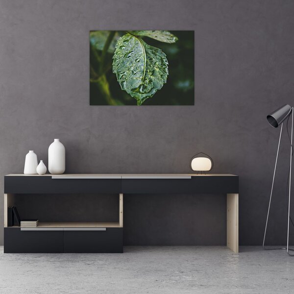 Kép - cseppek a levelen (70x50 cm)