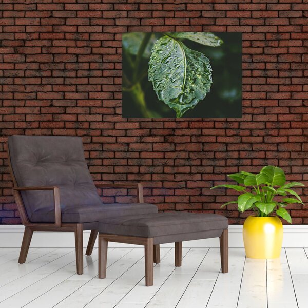 Kép - cseppek a levelen (70x50 cm)