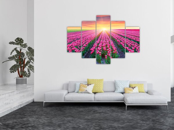 Tulipán mező és a nap képe (150x105 cm)