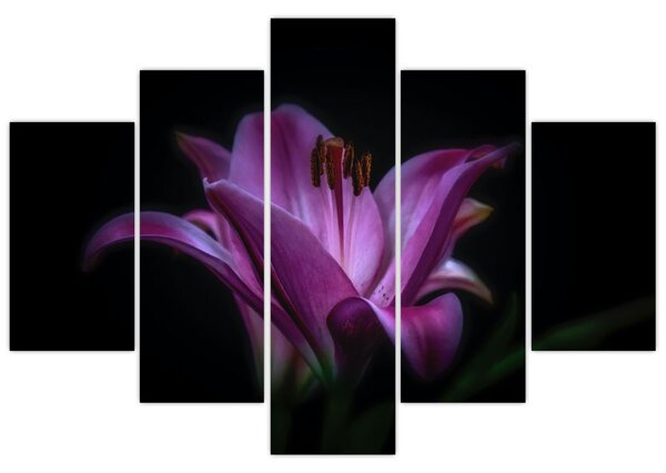 A liliom képe (150x105 cm)
