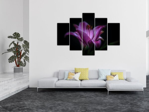 A liliom képe (150x105 cm)