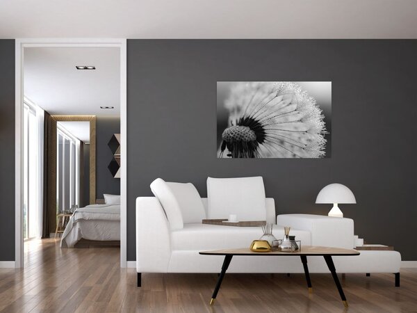 Pitypang képe - fekete fehér (90x60 cm)