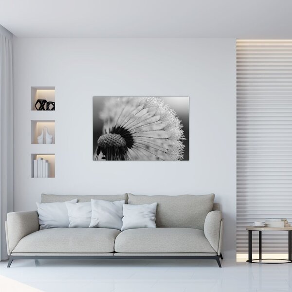 Pitypang képe - fekete fehér (90x60 cm)