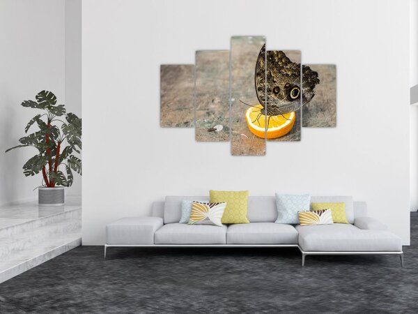 Pillangó képe (150x105 cm)