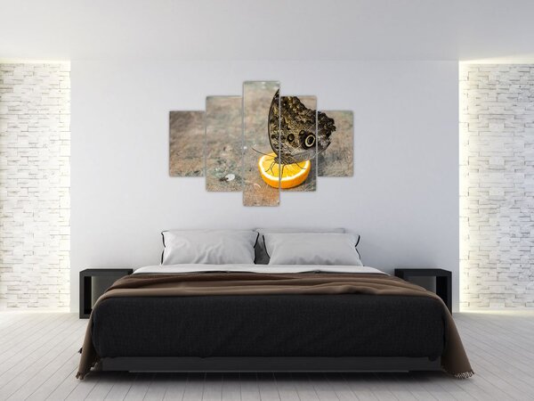 Pillangó képe (150x105 cm)
