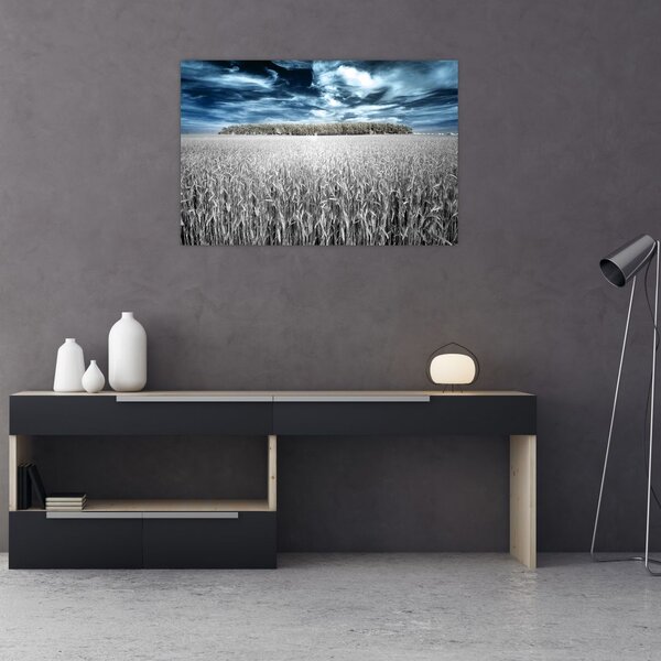 A mező képe (90x60 cm)