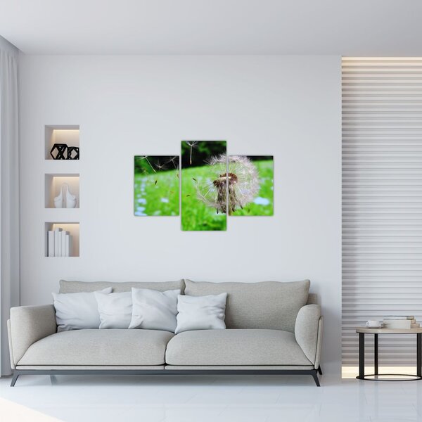Pitypang képe (90x60 cm)