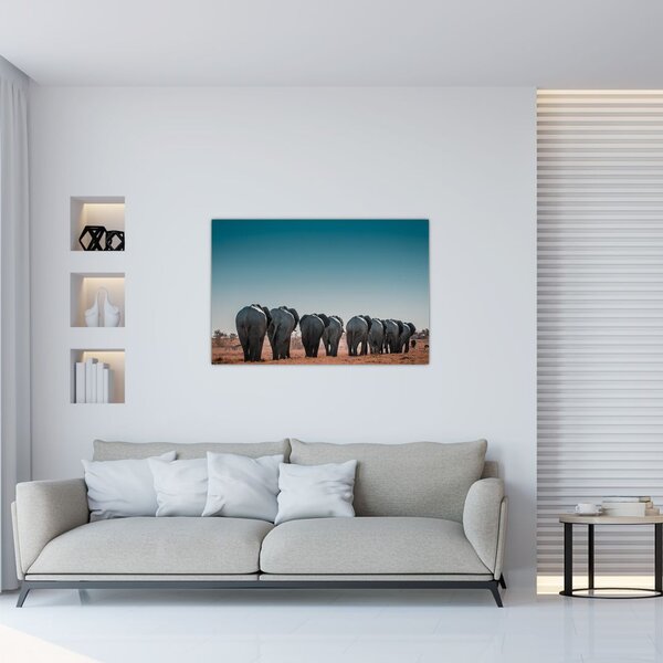 Kép - Elefántok indulása (90x60 cm)