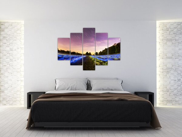Színes mező képe (150x105 cm)