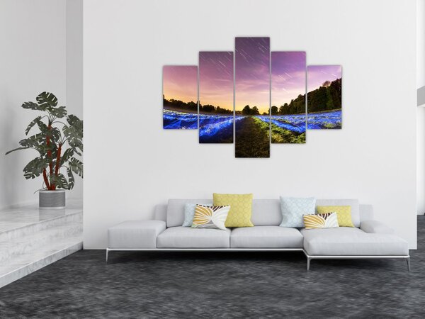Színes mező képe (150x105 cm)