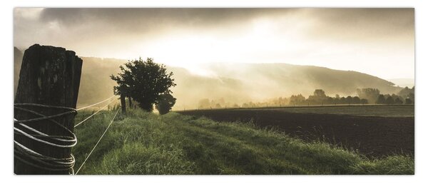 Egy rét képe (120x50 cm)