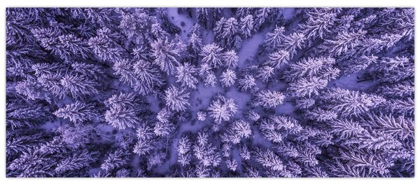 Havas fák képe (120x50 cm)