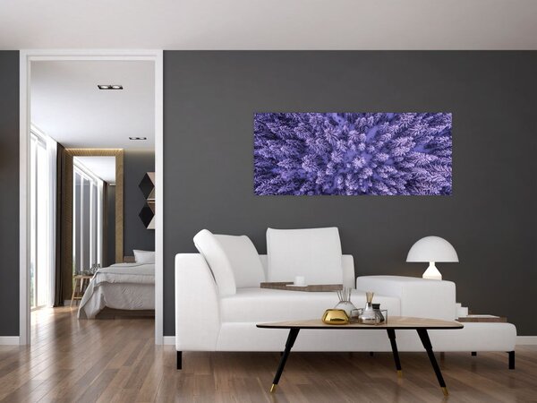 Havas fák képe (120x50 cm)