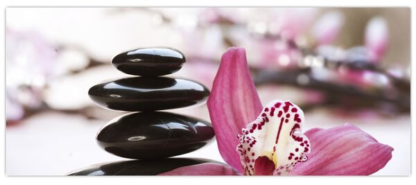 Masszázs kövek és orchideák képe (120x50 cm)