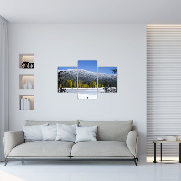 Kép - havas hegyek télen (90x60 cm)