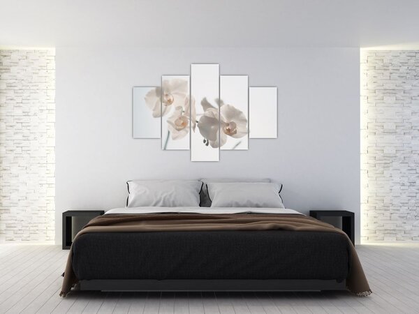 Fehér orchidea képe (150x105 cm)