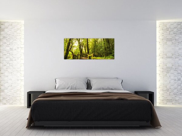 Mohás dzsungel képe (120x50 cm)