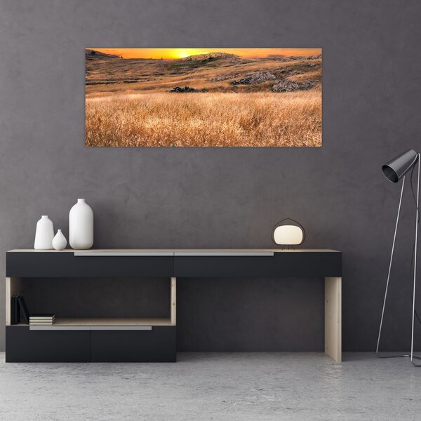 Mező képe (120x50 cm)