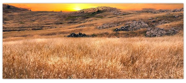 Mező képe (120x50 cm)