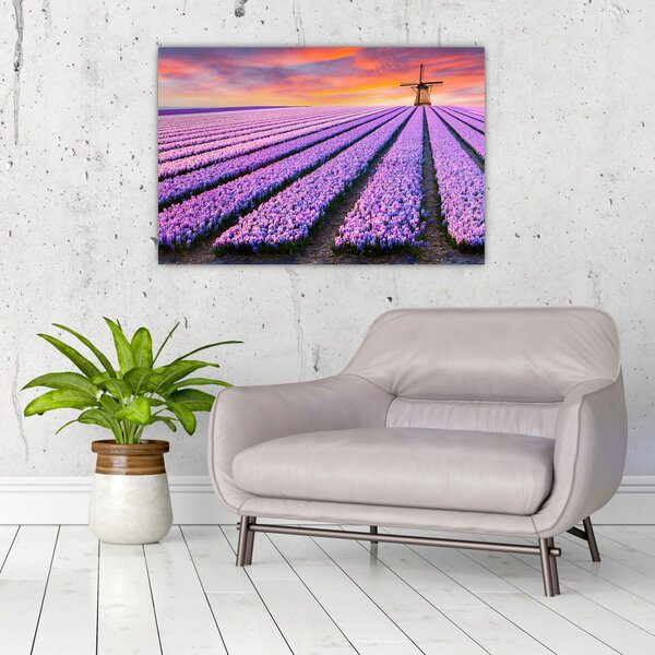 Kép - virágfarm (90x60 cm)