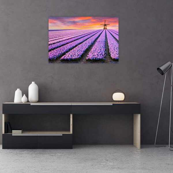 Kép - virágfarm (90x60 cm)
