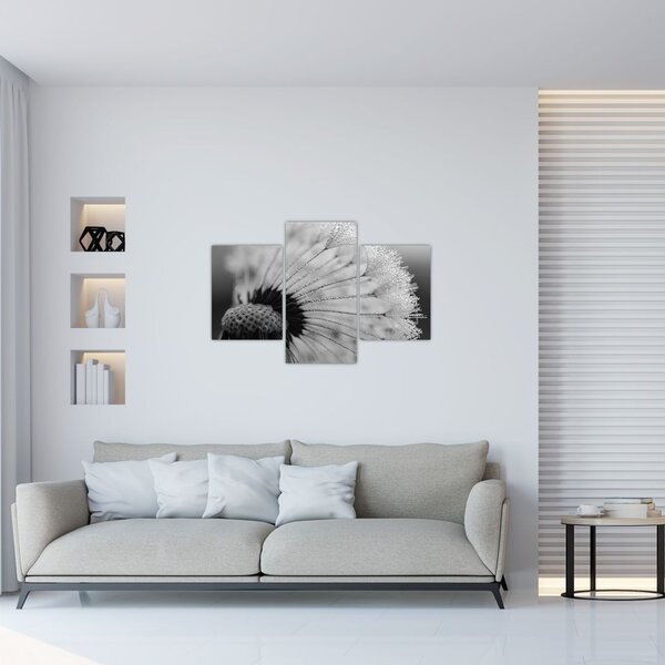 Pitypang képe - fekete fehér (90x60 cm)