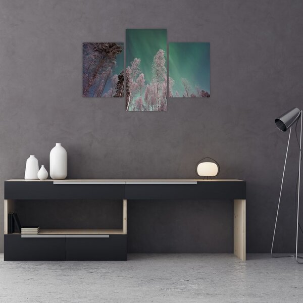 Az aurora borealis képe fagyos fák felett (90x60 cm)