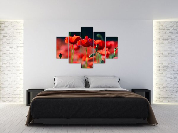 Kép - pipacsok (150x105 cm)
