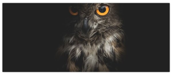 Bagoly képe (120x50 cm)