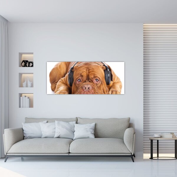 Kép egy kutya fejhallgatóval (120x50 cm)