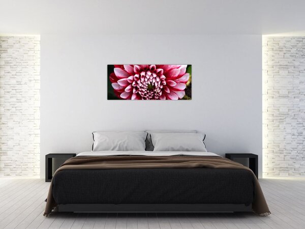 Rózsaszín dália képe (120x50 cm)