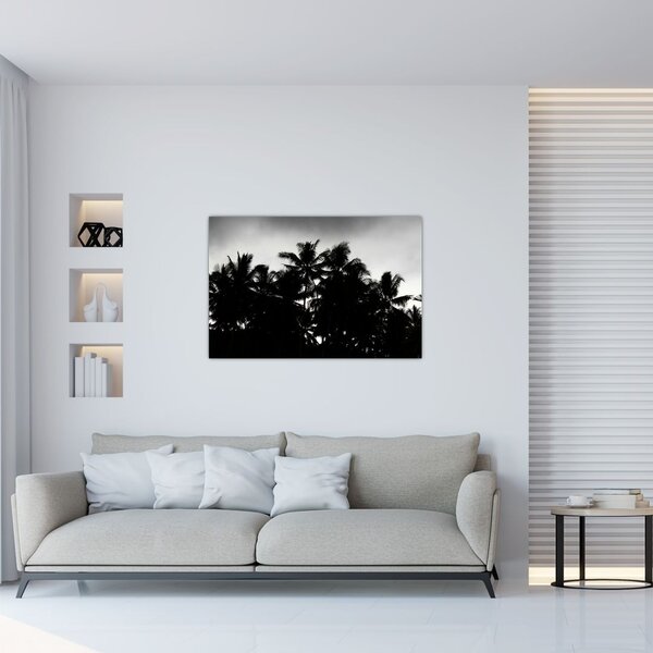 A fekete-fehér pálmafák képe (90x60 cm)