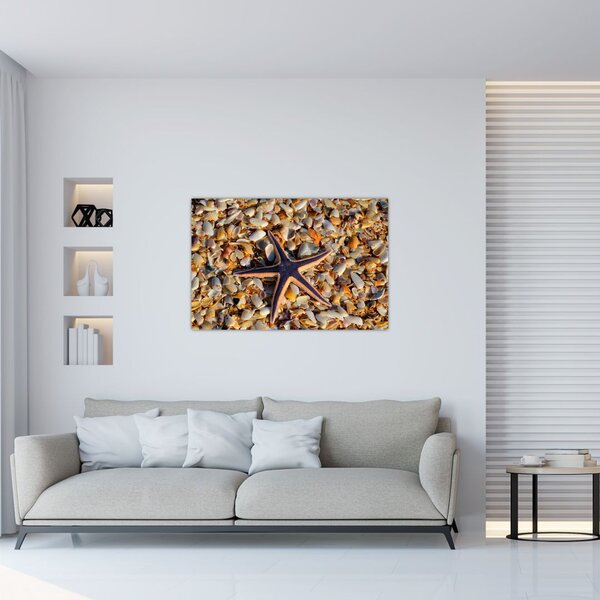Egy tengeri csillag képe (90x60 cm)