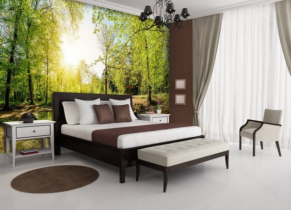 Fotótapéta - Zöld erdő (152,5x104 cm)
