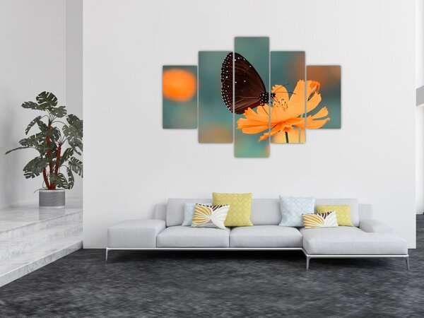 Kép - pillangó narancssárga virágon (150x105 cm)