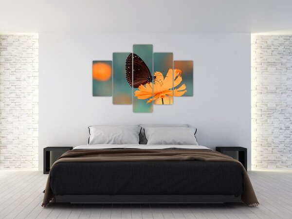Kép - pillangó narancssárga virágon (150x105 cm)