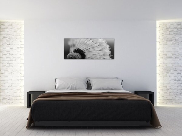 Pitypang képe - fekete fehér (120x50 cm)