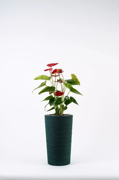 Adoni Doniczka bawełniana zielona z wkładem 22x36 cm – ręcznie robiona (adoni-ba-grn-36)