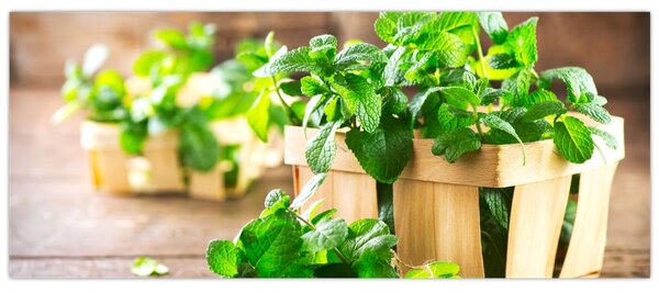 Friss menta képe (120x50 cm)