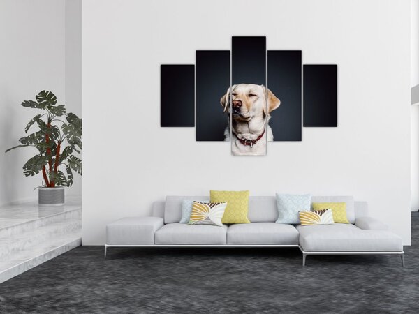 Labrador képe (150x105 cm)
