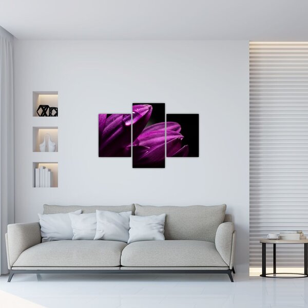Kép - Vízcsepp (90x60 cm)