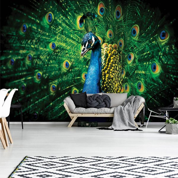 Fotótapéta - Páva (152,5x104 cm)
