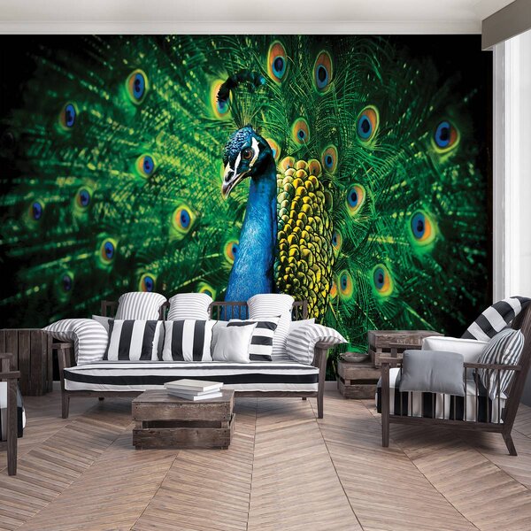 Fotótapéta - Páva (152,5x104 cm)