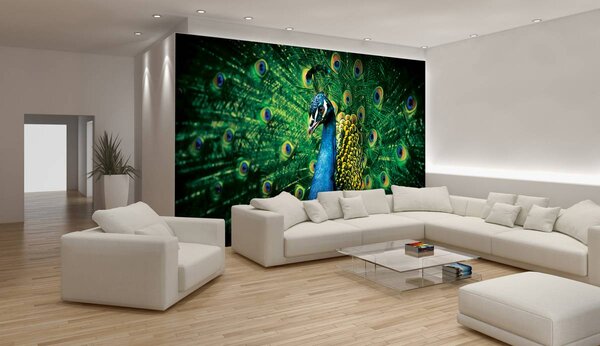 Fotótapéta - Páva (152,5x104 cm)
